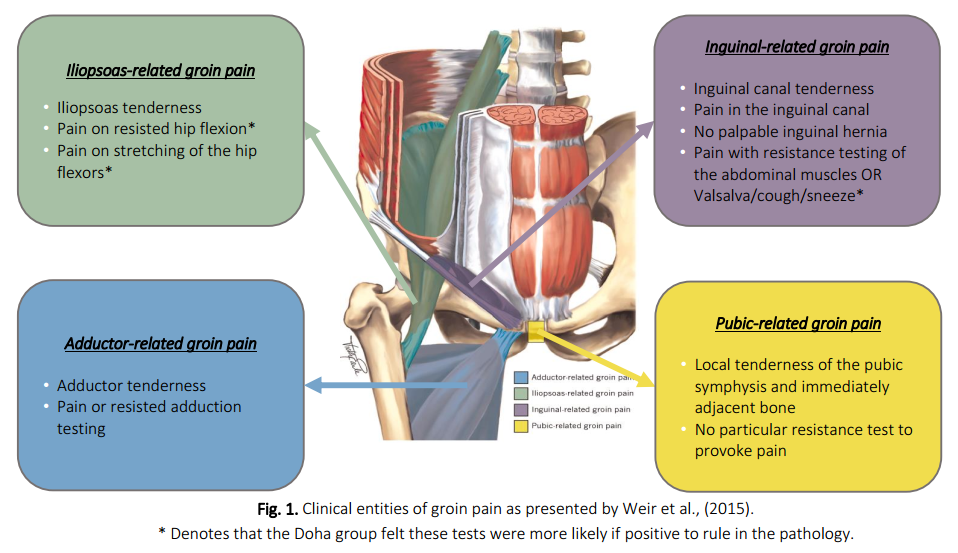 Groin Pain in Athletes — Sports Hernia and Osteitis Pubis